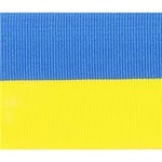Sverigeband Polyester 25mm