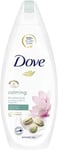 Dove Purely Pampering Pistachio Body Wash 250Ml