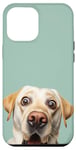 iPhone 12 Pro Max Funny Labrador Retriever Taking a Selfie Dog Mom Puppy Dad Case