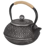 Cast Iron Tea Kettle Silver Uncoated Tortoise Shell Pattern Teapot with Infuser Home Gift Ornaments for Loose Tea, Stovetop Safe 800ml