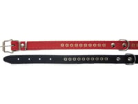 Dino Läderhalsband 20Mm/47Cm Black