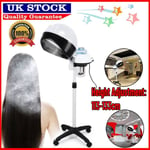 Concise Home Salon Home Professional Hair Steamer and Conditioning Machine 250V