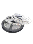 HiluX RGBW Strip - IP21 - 12V - CRI:95