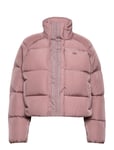 Short Down Jacket Pink Adidas Originals