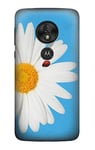 Vintage Daisy Lady Bug Case Cover For Motorola Moto G7 Play