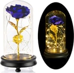 Leeko 24K Gold Plating Rose Flower, Gold Dipped Rose Gift in Glass Dome with LED String Lights, Forever Flowers for Wedding,Valentine's Day, Anniversary, Birthday Creative Gifts (Blue)