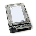DELL 12TB 7.2K RPM NLSAS ISE 12Gbps 512e 3.5inch Hot-plug Hard Drive CK