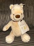NEW CLASSIC WINNIE POOH SOFT TOY TEDDY BEAR TOY HUNDERED ACRE WOOD FOR NEW BORN