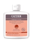 Cattier Shampooing Cheveux Gras Vinaigre de Romarin 250 ml Lot de 2