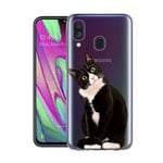 ZhuoFan Samsung Galaxy A40 Case, Phone Case Transparent Clear with Pattern Ultra Slim Shockproof Soft Gel TPU Silicone Back Cover Bumper Skin for Samsung Galaxy A40 Smartphone (Squatting Cat)