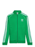 Sst Track Top Sport Sweat-shirts & Hoodies Sweat-shirts Green Adidas Originals