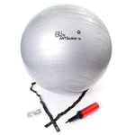 66FIT Ballon de Gym avec Pompe - Argent - 65 cm