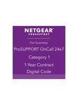 Netgear ProSupport OnCall 24x7 Category 1