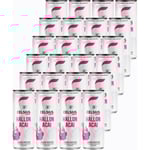 Celsius Raspberry Acai 24-Pack
