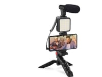 Platinet Platinet Vlog 4 In 1 Kit Set Vlog 4 In 1 Microphone Light Telephone Holder On The Trunk + 3 5 Pieces To Usb C Adapter [45596]