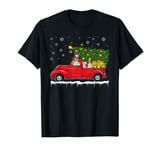 Cavalier King Charles Spaniel rouge voiture camion de Noël T-Shirt