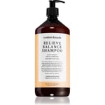 Waterclouds Relieve Balance Shampoo Shampoo til fedtet hår 1000 ml
