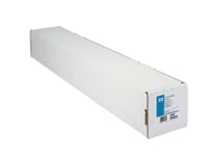 Hp Artist Matte Canvas - Matt - 0.457 Mm - Rulle (111,8 Cm X 15,2 M) - 380 G/M² - 1 Rulle (Rullar) Kanvaspapper - För Designjet 5500, Z2100, Z3100, Z3200, Z5200, Z5400, Z6, Z6100, Z6200, Z6600, Z6800, Z6dr