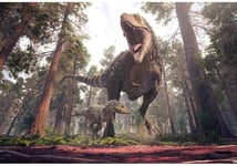 HD 7x5ft Polyester Dinosaur Backdrops for Photography Jurassic Forest Park Dinosaur Mother and Son Background for Toddlers Kids Boy Girl Birthday Party Photo Studio Props Wallpaper