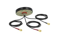 Delock LTE MIMO Dual Band WLAN 802.11 ac/ax/a/h/b/g/n Antenna - antenn