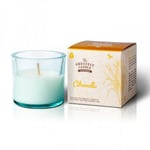 The Greatest Candle Återvunnet Ljus Citronella 75g