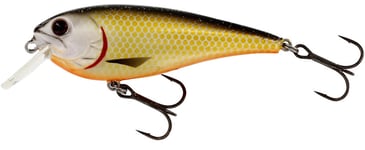 Westin RawBite 7cm/12gr - Official Roach