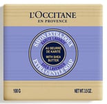 NEW L'Occitane Shea Lavender Extra Gentle SOAP Bar   *100g*
