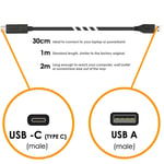 30cm USB Type C USB Charger Power Cable Lead for Nintendo Switch / OLED / Lite