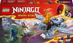 LEGO Ninjago 71810 - Little Dragon Riyu