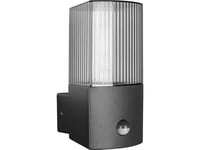 Orno Peonia Vägglampa Med Rörelsedetektor, E27, Max. 15W, Ip54, Svart