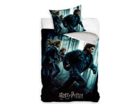 Harry Potter, Ron Och Hermione Sängkläder 140X200, 100 Procent Bomull