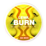 LEWA Burn Citrus & Mint Nikotinfritt snus 1 dosa