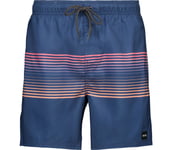 String Line Volley M badshorts Herr NAVY XL