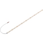 Grazia LED Strip vit 45W 8000lm 2700K CRI90 5M 24V IP20
