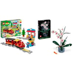 LEGO 10874 DUPLO Town Steam Train, with Light & Sound, Push & Go Battery Powered Set with RC Function & 10311 Icons Orchid Artificial Plant Building Set with Flowers