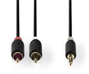 Nedis Aux Audio Cable 3.5 mm -> 2x RCA 3m Black