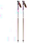Swix World Cup Pro Sl Carbon Stavar