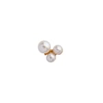 Stine A Three Pearl Berries Förgyllt Silver Örhänge Med Sötvattenspärlor 1321-02-S