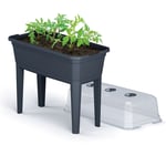 Prosperplast Mini växthus på ben Respana Ecoline Set 36,8 x 74,5 77,7 cm PROSPERPLAST