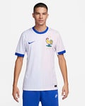 FFF (Men's Team) 2024/25 Stadium Away Men's Nike Dri-FIT Football Replica Shirt