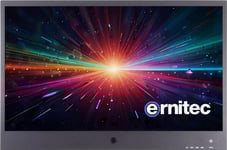 Monitor Ernitec 43" 1080P Pvm Metal Case