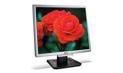 Acer AL1916S 19" LCD Monitor (Silver)