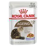 Royal Canin Ageing +12 i gelé 96 x 85 g