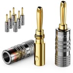deleyCON 8 Pièce Fiche Banane Jeu - Plaqué Or à Visser pour Câble Haut-Parleur Câble Haut-Parleur 0,75 mm - 4,5 mm & par Ex. HiFi Audio Home Cinéma Récepteur - Gris