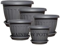 Coloured Plastic Plant Pots, Flower Pots, Planters + Saucer - 8 Colours and 3 Sizes to Choose - Tray φ 20,25,30 (Anthracite, 25 cm - 9.8 inch)