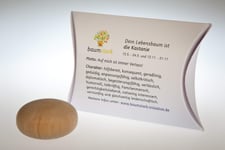 Baumstark Chestnut 45 mm Worry Stone with Tree Horoscope (15.5. -24.5 and 12.11. -21.11.), Wood, 8 x 11.5 x 2.8 cm