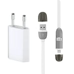 Electraline 92284 Câble de données et Recharge Lightning 1,5 m avec Chargeur et Adaptateur USB pour Android et iPhone