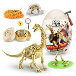 Robo Alive Mega-Dino Fossil Find Brontosaurus by ZURU Boys 4-8 Dig and Discover, STEM -Excavate Prehistoric Fossils, Educational Toys, Great Science Kit Gift for Girls and Boys (Brontosaurus)