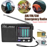 ELY Am / Fm Sw Radio Teleskopisk Antenn Bärbar Fullbandsradio