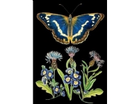 Madame Treacle B6-carnet med kuvert Blå fjäril